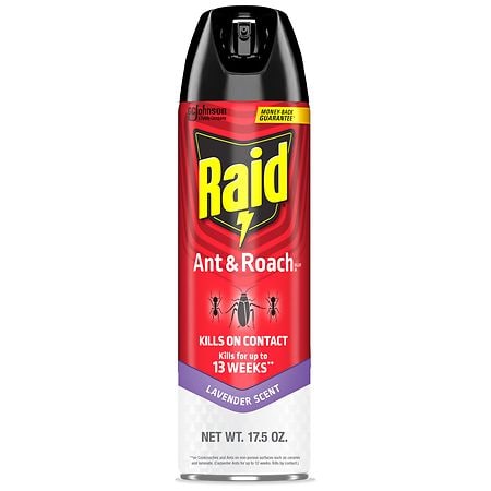 Raid Ant & Roach Insect Killer  Indoor Insecticide  Residual Killing Power  Lavender Scent  17.5 oz