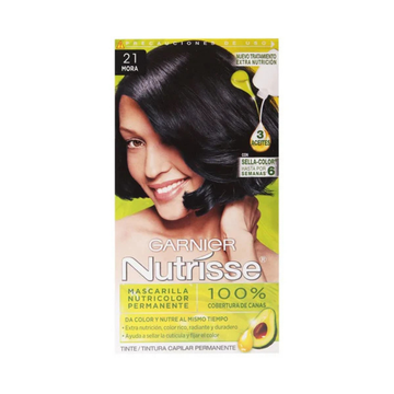 Garnier Nutrisse Dark Ash Blonde #21
