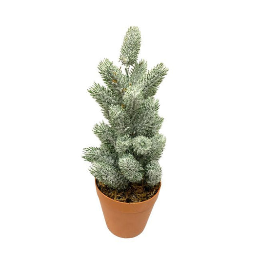 A small frosted conifer tree in a terracotta-colored plastic pot, photographed against a solid white background.